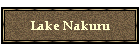 Lake Nakuru