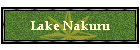 Lake Nakuru
